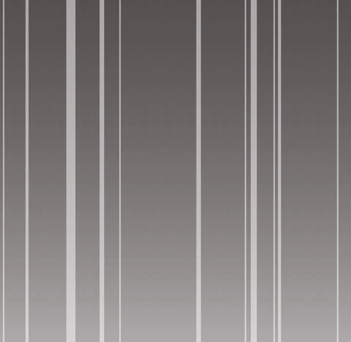 Stop Smoking Chapter 5 Page 207